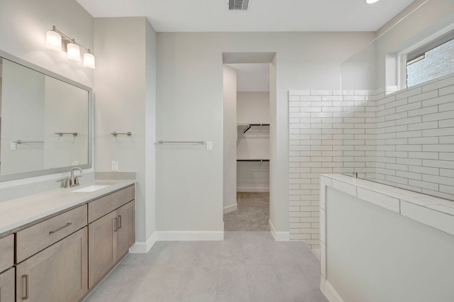 Owner's Bath