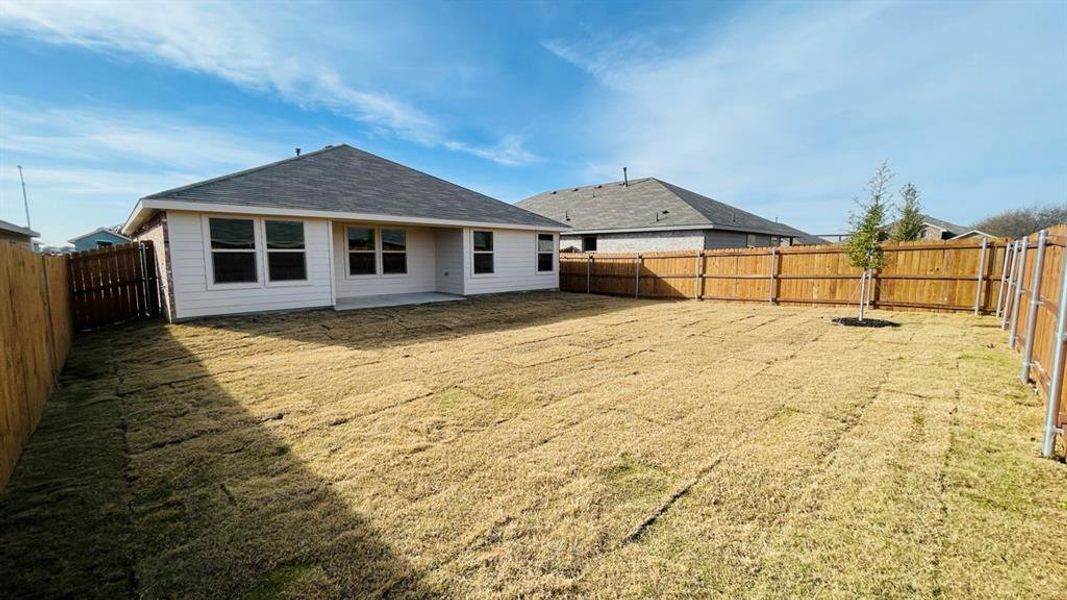 Yard - All Home and community information, including pricing, included features, terms, availability and amenities, are subject to change at any time without notice or obligation. All Drawings, pictures, photographs, video, square footages, floor plans, elevations, features, colors and sizes are approximate for illustration purposes only and will vary from the homes as built.