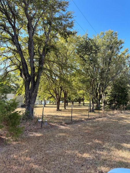 Natural landscape and outdoor views near  in Groesbeck (Image 22).