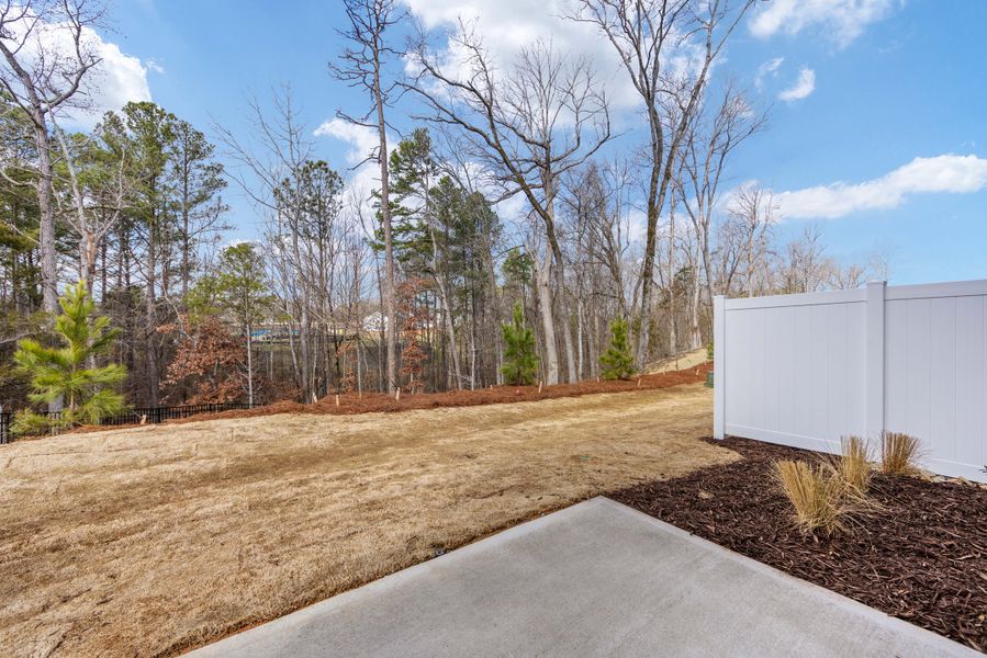 Representative exterior details of a home built from the Knight by Tri Pointe Homes in Southbridge, Fort Mill (Image 3).