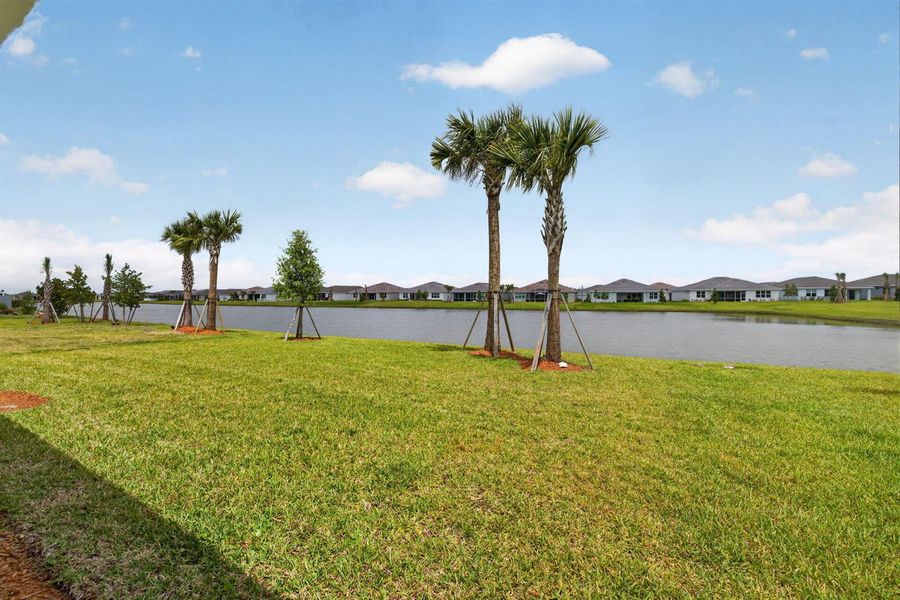 10-web-or-mls-3A5A7119