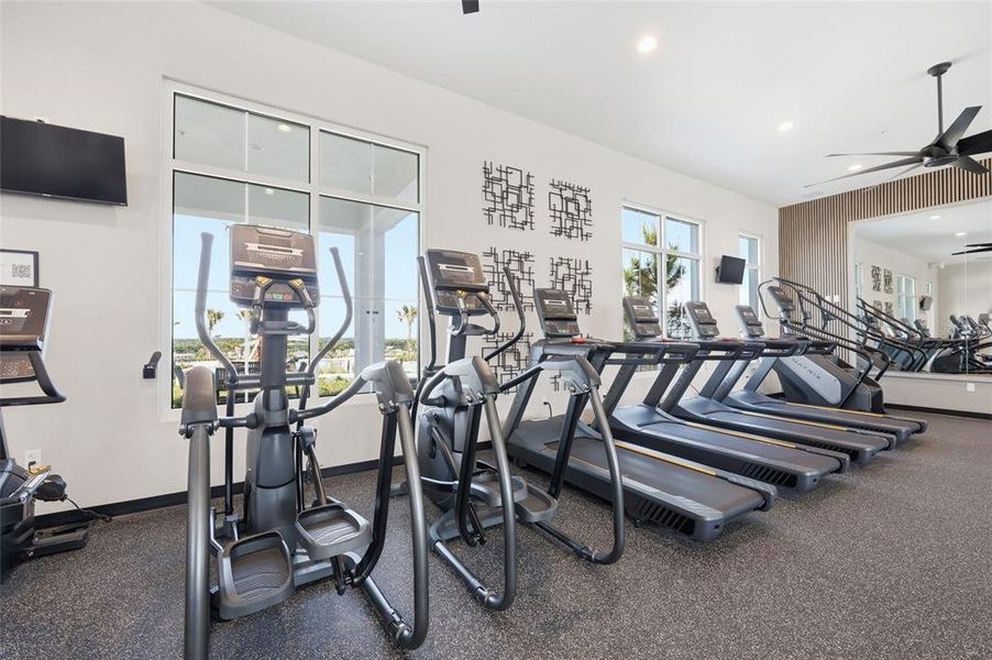 Community amenities in , Clermont (Image 39). Community amenities in , Clermont (Image 39).