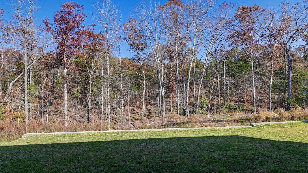 Natural landscape and outdoor views near Livingston Woods in Irmo (Image 38).