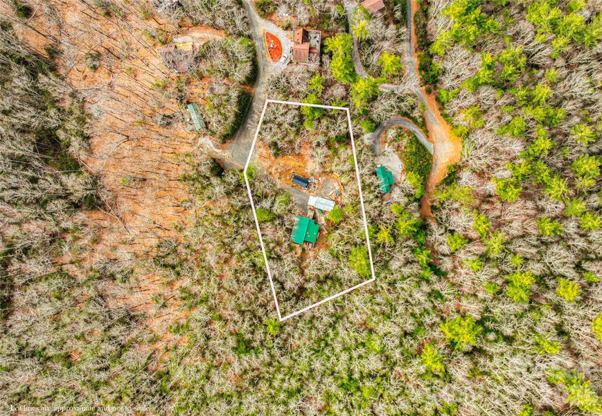 Community amenities in , Spruce Pine (Image 10).