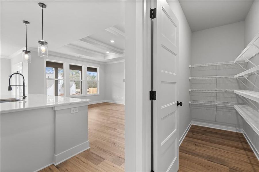 Furnished interior view inside a new home in Rosewood Lake Preserve, Hoschton (Image 6).