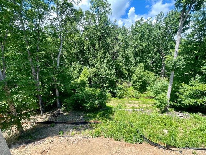 Natural landscape and outdoor views near in Atlanta (Image 27). Natural landscape and outdoor views near in Atlanta (Image 27).