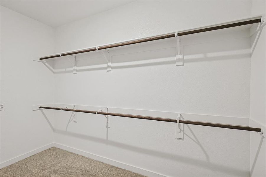 Spacious closet featuring carpet flooring