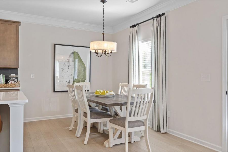 Furnished interior view inside a new home in Allen Manor, Hoschton (Image 7).