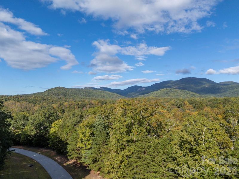 Natural landscape and outdoor views near  in Landrum (Image 17).