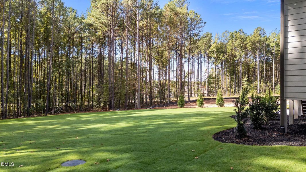 24-web-or-mls-DJI_20251006105957_0249_D 24-web-or-mls-DJI_20251006105957_0249_D