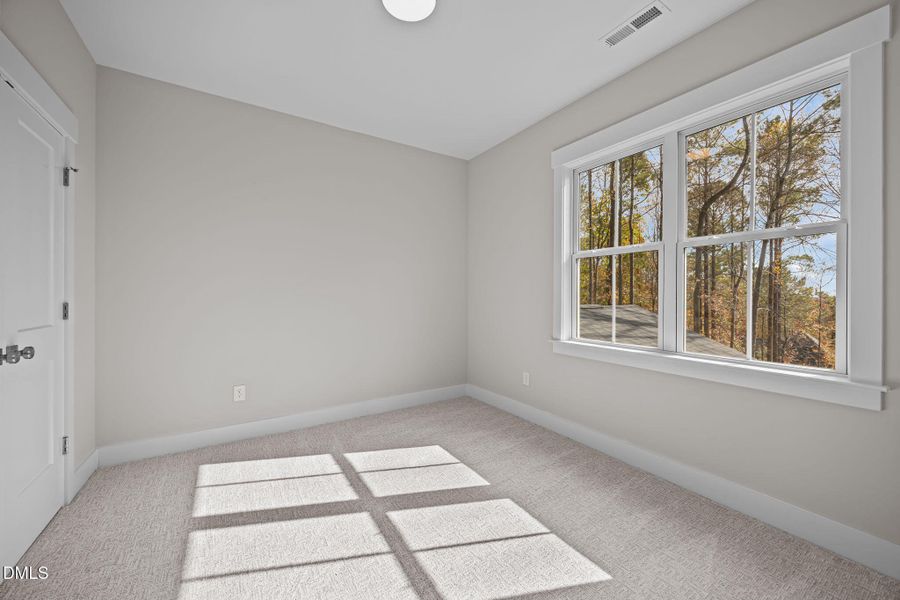 50-web-or-mls-2N6A4605