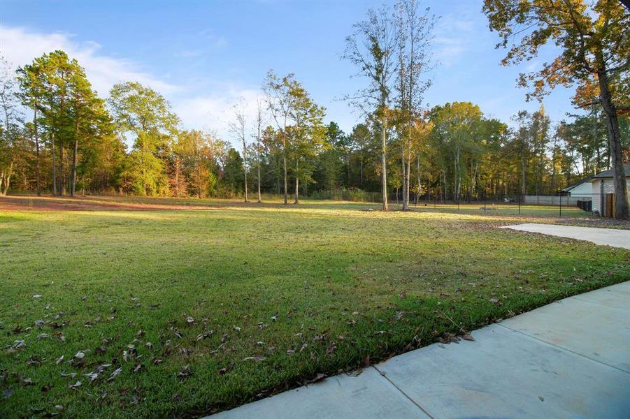 Natural landscape and outdoor views near  in Bullard (Image 36).