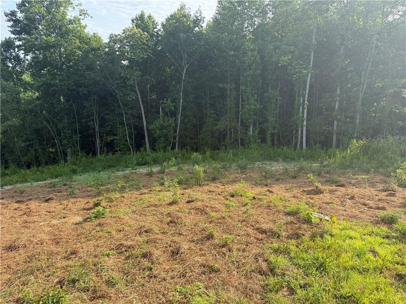 Natural landscape and outdoor views near  in Clarkesville (Image 19).