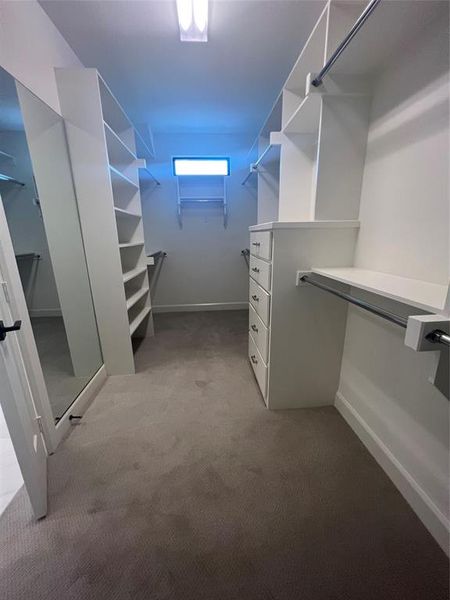 Walk in closet with carpet