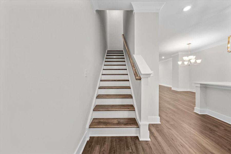 Cary, NC New Home. - Slide 7 Cary, NC New Home. - Slide 7