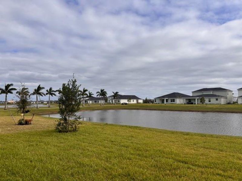 View from covered lanai