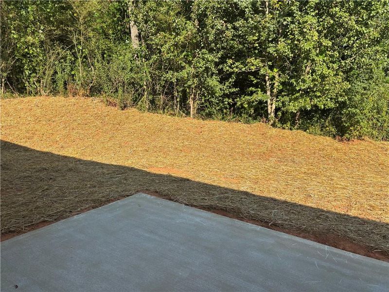 Natural landscape and outdoor views near  in Dahlonega (Image 10).