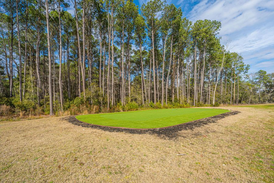Natural landscape and outdoor views near in Johns Island (Image 68). Natural landscape and outdoor views near in Johns Island (Image 68).