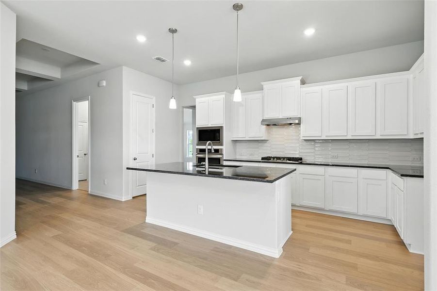 Kitchen with stainless steel appliances, under cabinet range hood, dark countertops, decorative backsplash, and light wood finished floors Kitchen with stainless steel appliances, under cabinet range hood, dark countertops, decorative backsplash, and light wood finished floors