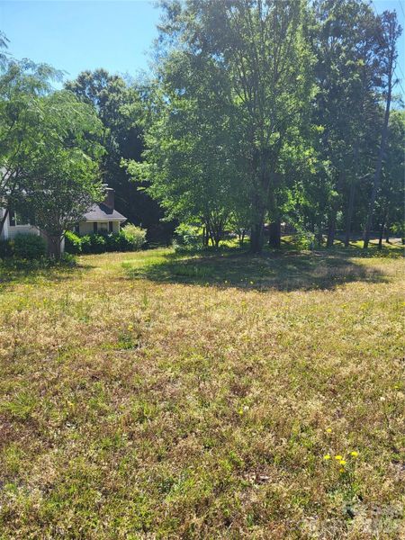 Large Front Yard Large Front Yard