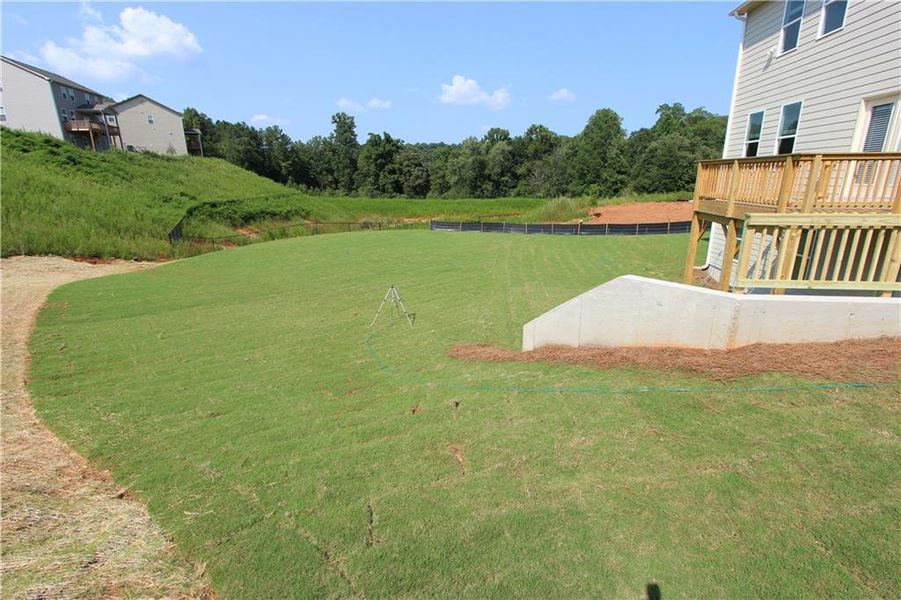 Exterior details and patio area of a home in Clark Farms, Flowery Branch (Image 14).