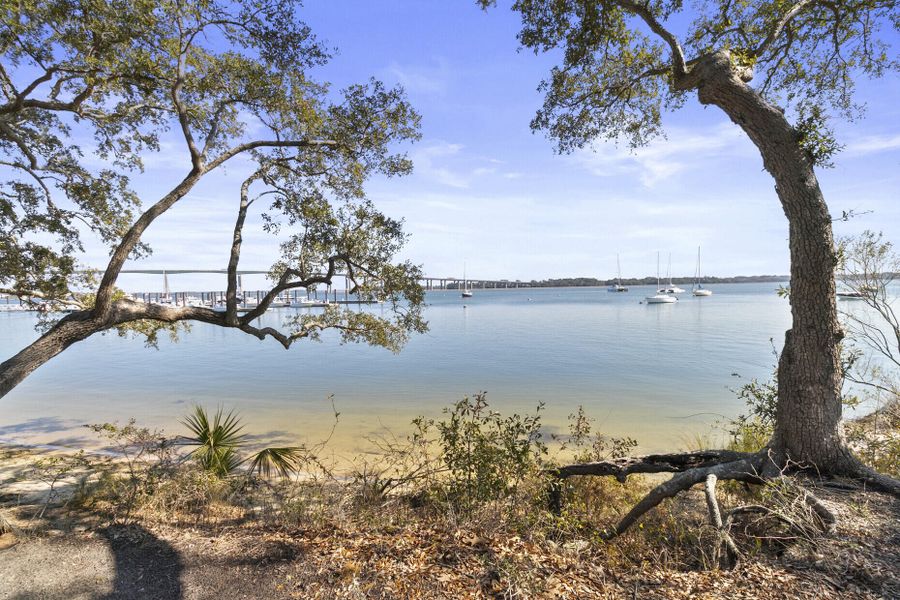 Natural landscape and outdoor views near  in Charleston (Image 43).