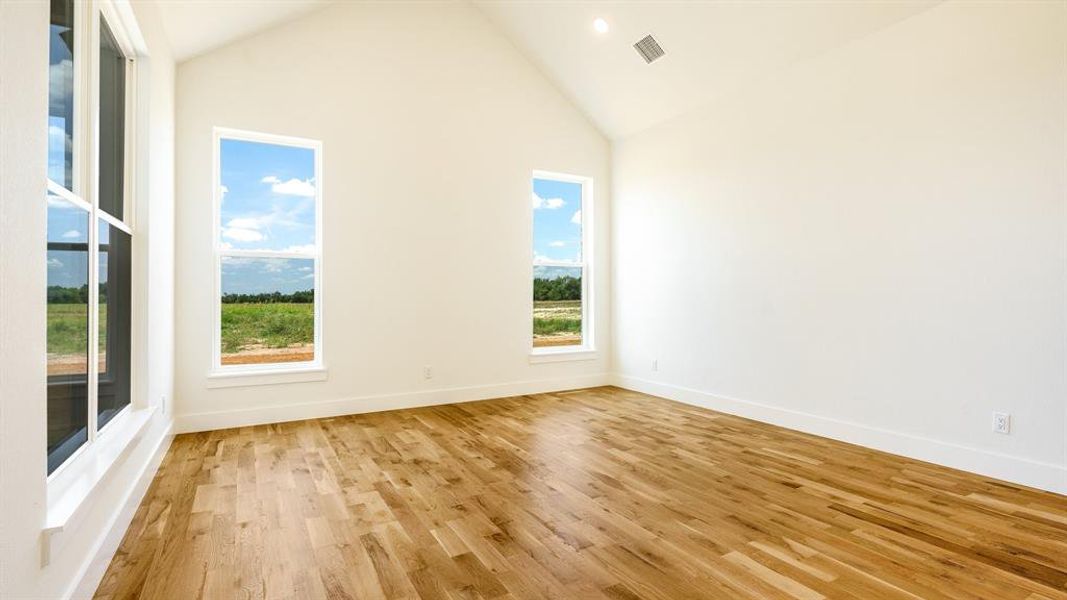 Spare room with high vaulted ceiling, a healthy amount of sunlight, and light wood-type flooring