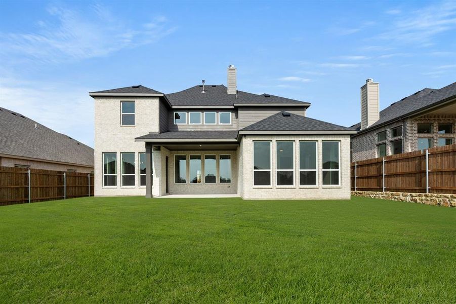 2609 Steve- Back 2609 Steve- Back