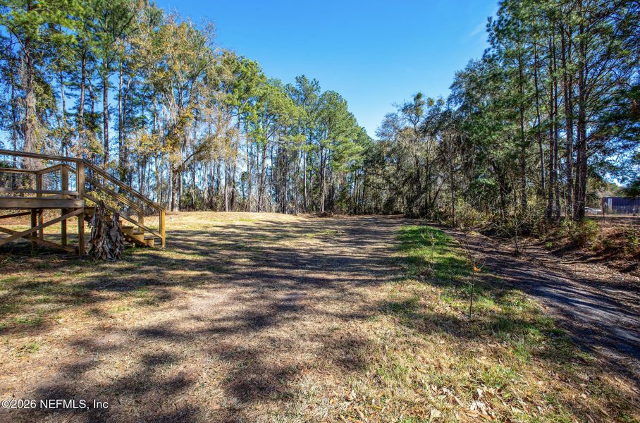Natural landscape and outdoor views near  in Lake Butler (Image 34).