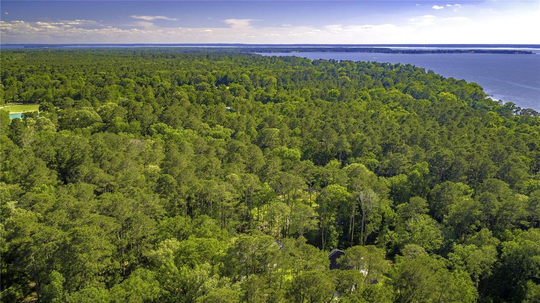 Indian Hills Peninsula and around to Pine Island - Lake Livingston Icon! Indian Hills Peninsula and around to Pine Island - Lake Livingston Icon!