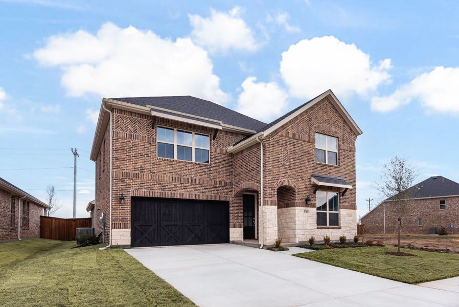 The Tiana - Old World Elevation