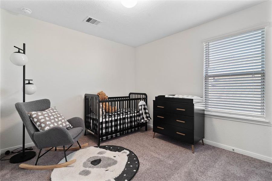 Secondary bedroom features plush carpet, custom paint and a large window.