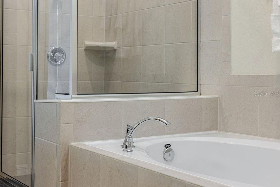 Furnished interior view inside a new home in , Clermont (Image 44).