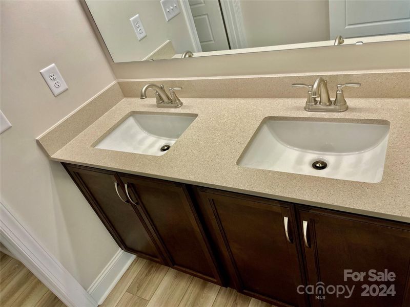 Double Vanity in Hall Bath