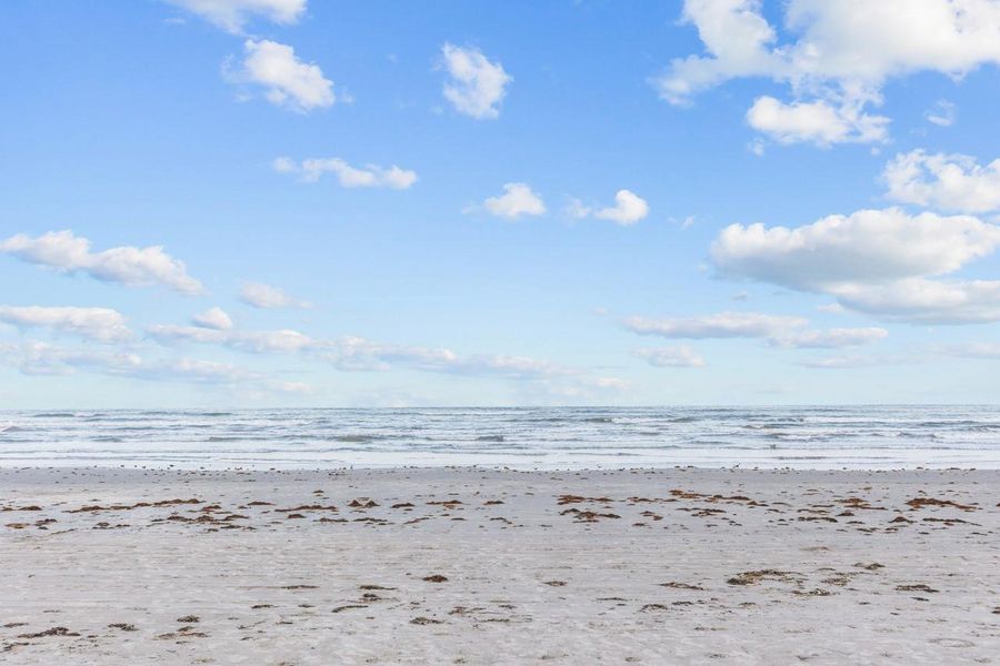Natural landscape and outdoor views near  in Galveston (Image 43).
