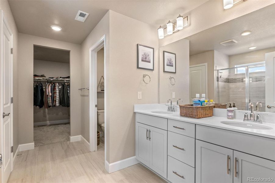 Primary bathroom, complete with shower and walk-in closet