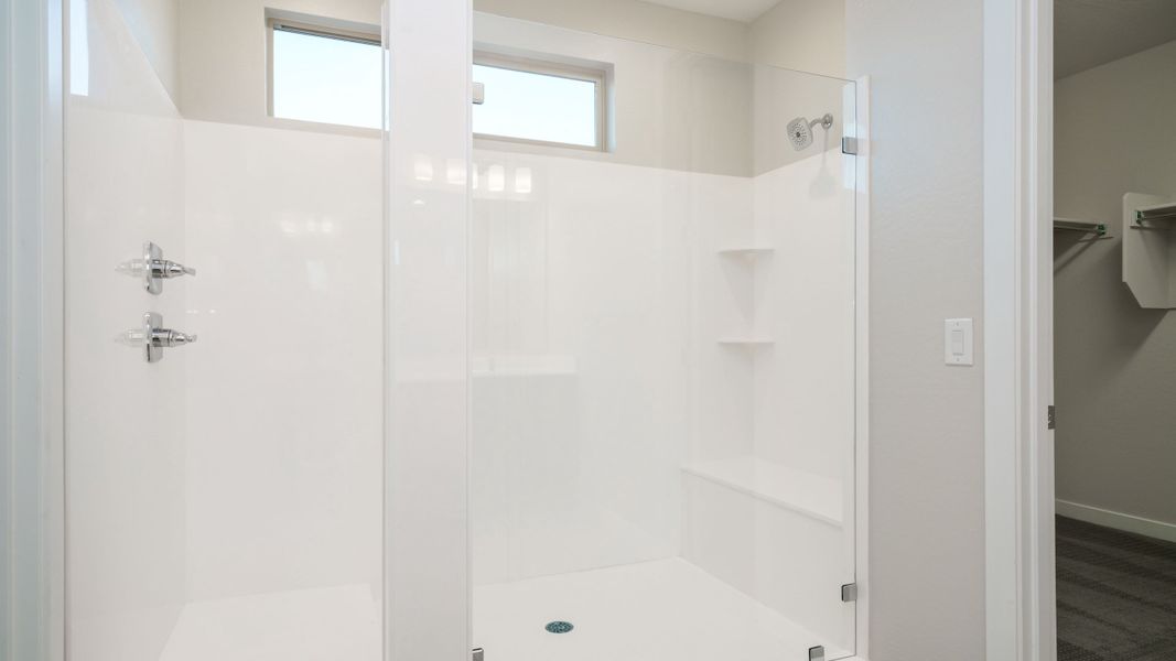 Super Shower/Owner's Bath