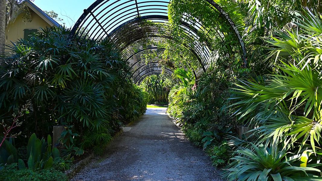 Natural landscape and outdoor views near Veranda Oaks in Port St. Lucie (Image 93).