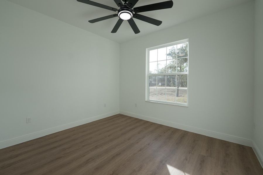 WhatsApp Image 2026-02-12 at 10.45.56 (3