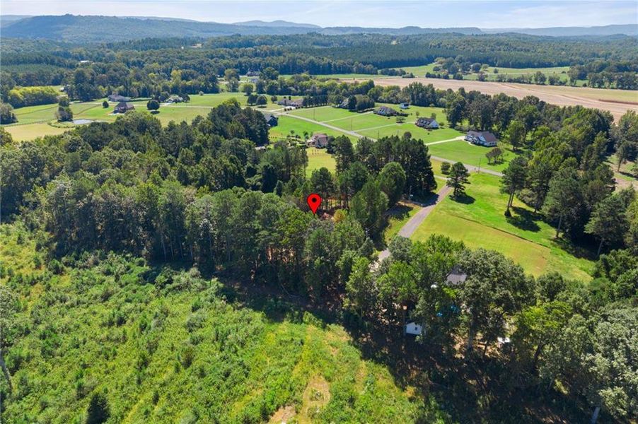 Natural landscape and outdoor views near  in Summerville (Image 45).