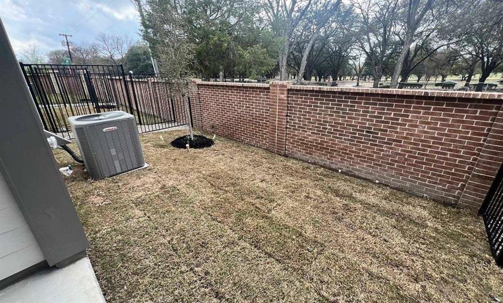 Backyard Construction Progress