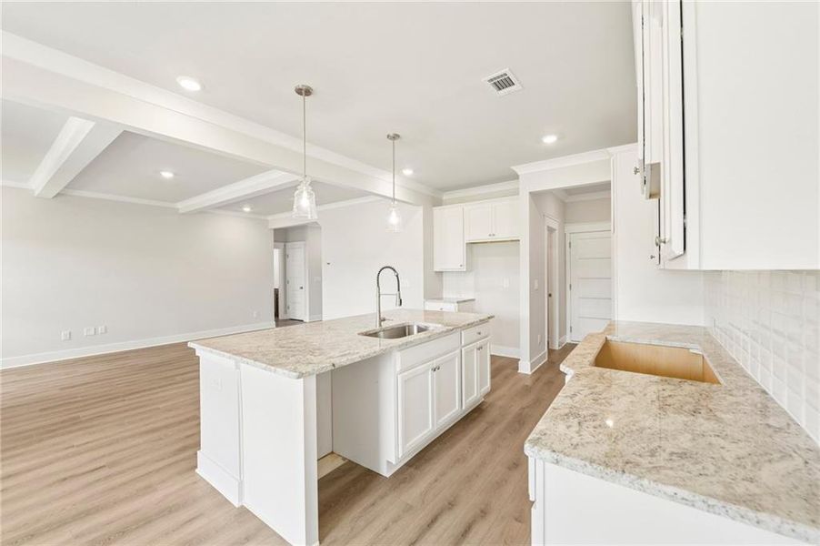 Furnished interior view inside a new home in Fowler Farms, Auburn (Image 7).