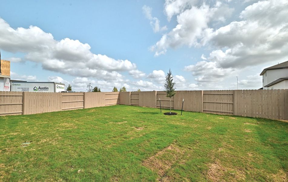 Backyard