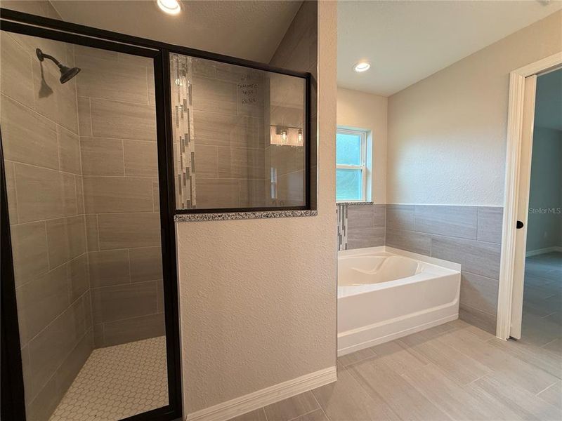 Furnished interior view inside a new home in , Dunnellon (Image 7). Furnished interior view inside a new home in , Dunnellon (Image 7).