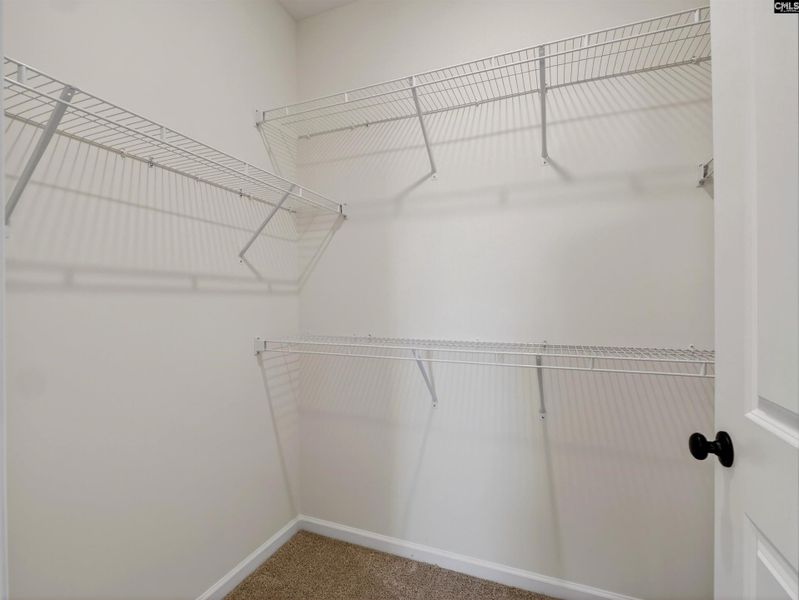 Spacious, unfurnished interior of a new home in Old Charleston Acres, Pelion (Image 33).