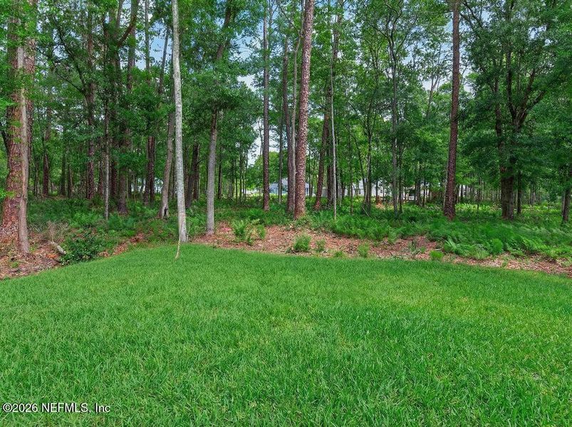 Natural landscape and outdoor views near  in Jacksonville (Image 48).