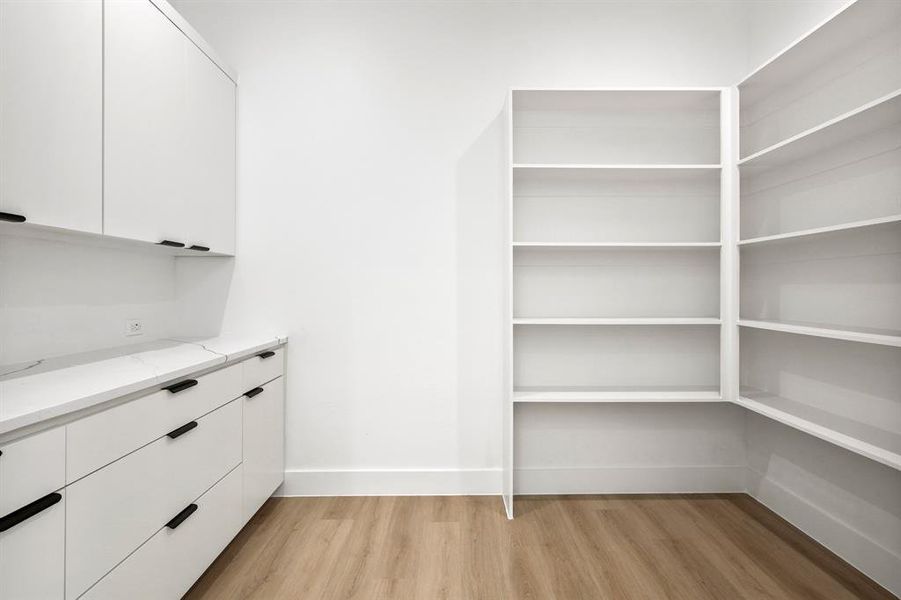 Walk in closet featuring light hardwood / wood-style floors