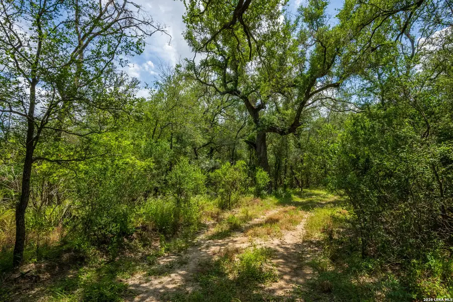 Natural landscape and outdoor views near in Crystal City (Image 45). Natural landscape and outdoor views near in Crystal City (Image 45).