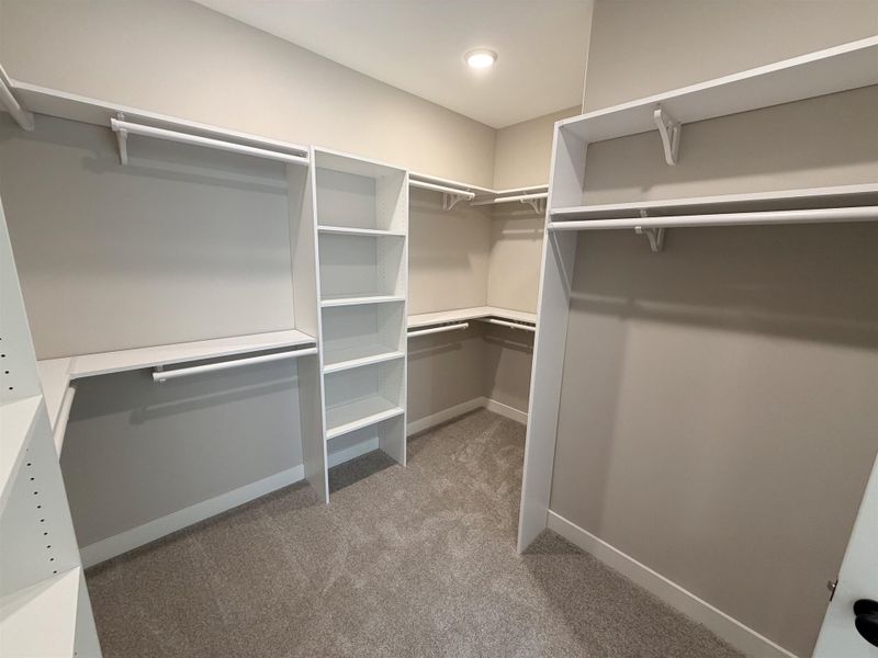Spacious, unfurnished interior of a new home in Lockwood, Collierville (Image 26).
