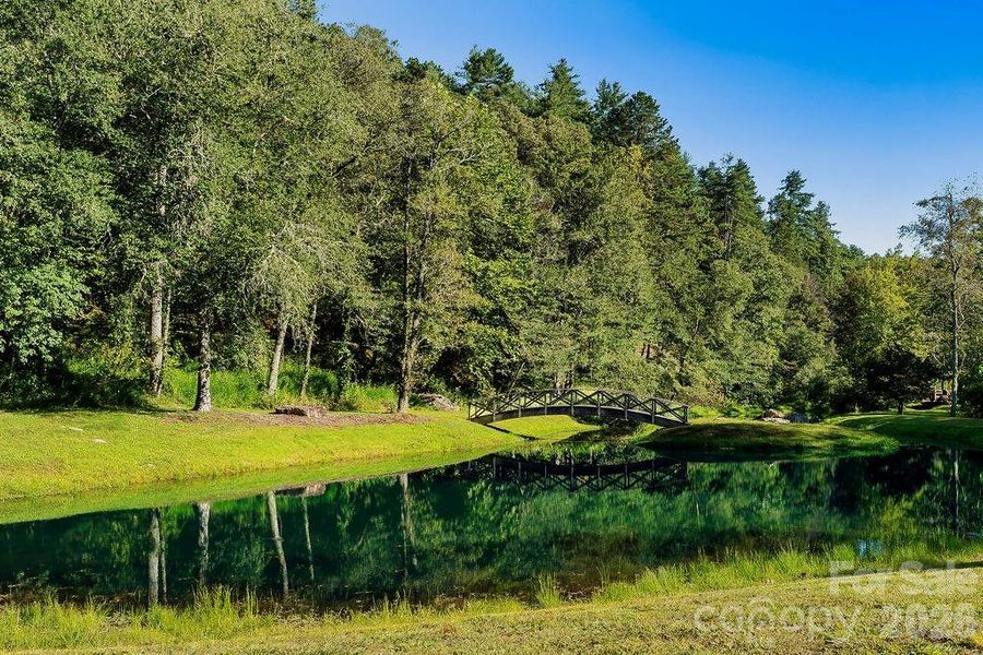 Stocked pond